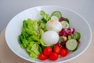 Healthy food, a bowl of salad, consist of eggs, lettuce, cherry tomatoes, cucumber, sunflower seeds, and red romaine lettuce