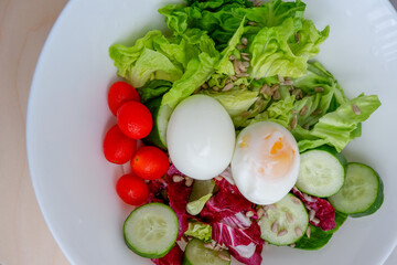 Healthy food, a bowl of salad, consist of eggs, lettuce, cherry tomatoes, cucumber, sunflower seeds, and red romaine lettuce