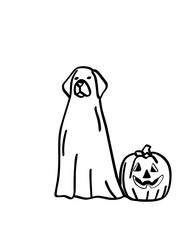  Halloween dog ghost