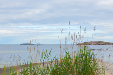 A peaceful coastal scene from a Finnish archipelago with grass, sea, and granite rocks. Protecting...
