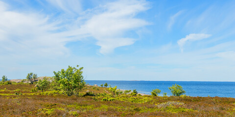 The barren, flat landscape of Jurmo Island in Finland stretches under an open sky, dotted with low-growing plants. This unique Nordic scenery reflects resilience, isolation, and fragile island ecology