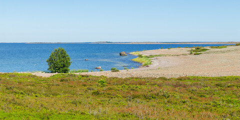 A solitary tree rises from a Jurmo island in the Finnish archipelago, bathed in summer sunlight. This peaceful scene symbolizes eco-conscious travel and the importance of protecting island ecosystems