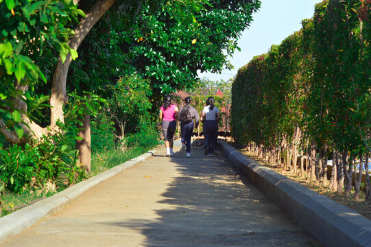 Four teenage girls are seen from behind, jogging away down a winding path flanked by vibrant greenery and tropical trees in a peaceful park setting.