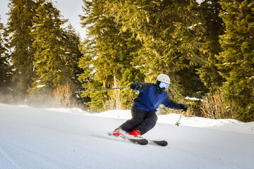 Skier on piste running downhill in forest back country