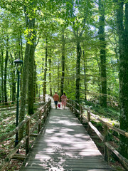 Two People Walking Down a Path into Plitvice Lakes National Park on a Sunny Day