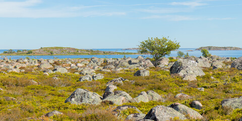 Scattered glacial stones on Jurmo Island, Finland, tell the story of ancient ice age retreat. The...