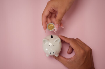 hand put coins in piggy banks ,Money saving and deposit for investment to get profit and dividend...