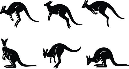 Kangaroo silhouette vector, jumping kangaroo poses, Australian wildlife illustration, marsupial animal graphic, kangaroo design elements, stock image, black artwork