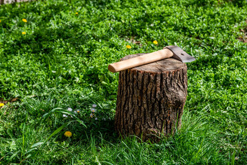Log axe laying on a stump. Lumberjack chopping wood.