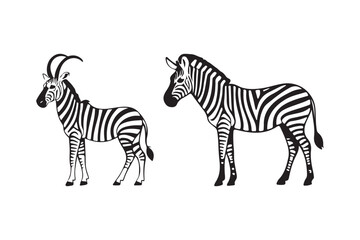 Two zebras standing side by side with distinctive features