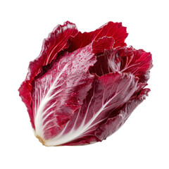 Obraz premium Fresh red radicchio lettuce with vibrant leaves and crisp texture, perfect for salads and garnishes. Its rich color adds visual appeal to any dish