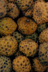 Processed with VSCO with e2 preset