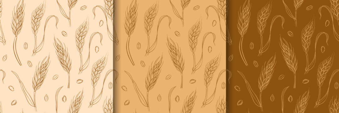 Seamless pattern with wheat. Bakery background collection. Different colors. Vector illustration.