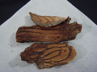 Spatholobus suberectus Dunn (Gye-hyeol-deung) is a traditional Korean medicinal herb used to...