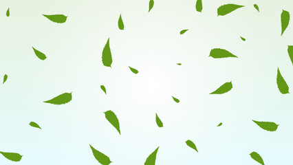 Green falling wave leaves border. Flying foliage ornament. Organic, vegan design element. Leaf flying in transparent background. 