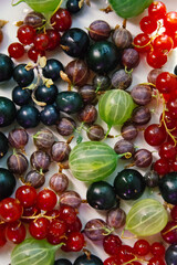 close up of colorful berries , gooseberry , currant