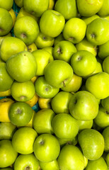 Juicy green apples: fresh harvest close-up