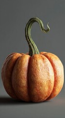 Small orange pumpkin studio shot