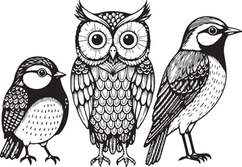 Black and white bird illustration, owl, sparrow, design element
