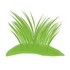 Green grass illustration. Green grass flat design. Cartoon grass illustration. Grass illustration 
