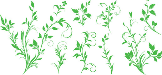Liana plants. Tropical climbing creepers branches with moss, rainforest flora flat vector illustration isolated on transparent background