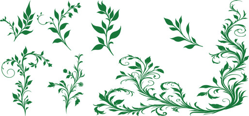 ivy vine silhouette, elegant decorative border and corner design element of leaves set. vector illustration  © shahzad