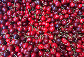 Many cherry fruits pattern. Red berry texture