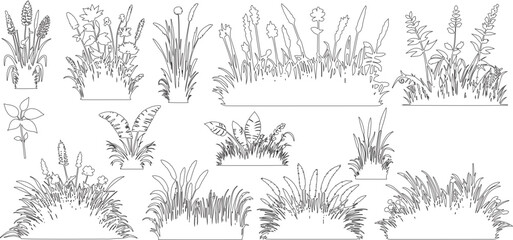 Plant elevation line silhouettes outline - grass, shrub, tree set. vector