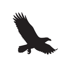 Bald Eagle silhouette