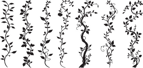 vine plant jungle climbing set isolated on transparent background vector illustration