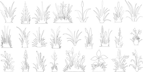 Plant elevation line silhouettes outline - grass, shrub, tree big set vector, grass line cad and silhouettes isolated on white background.