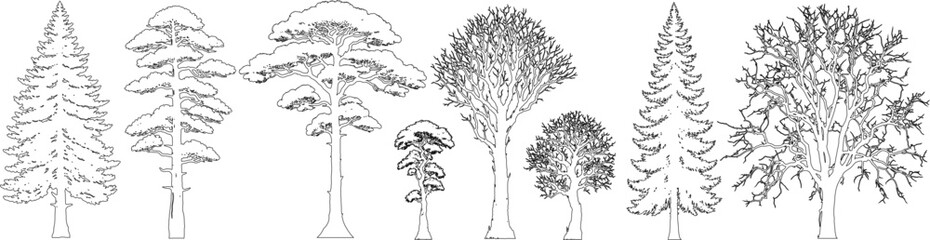 Minimal style cad tree line drawing, set of trees elements outline symbol for architecture and landscape design drawing. Vector illustration