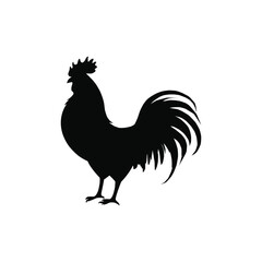 simple images Rooster silhouette chicken vector
