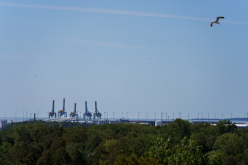 Shipping port cranes under a clear blue sky with sea birds