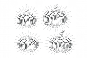 Four white pumpkins with stylized rays on a transparent background, ideal for autumn, halloween, or thanksgiving projects