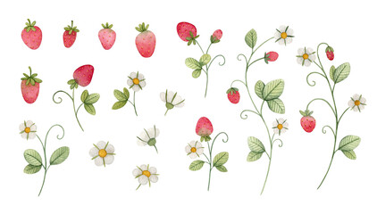 Watercolor strawberry clipart bundle – hand-painted botanical set with strawberries, flowers and leafy branches for packaging, wedding invitations, labels, fabric design and summer printables
