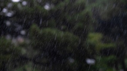 Heavy summer rain with motion blur over green forest background