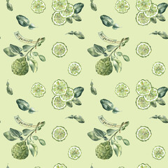 Seamless pattern of watercolor bergamot fruit and leaves on light green background
