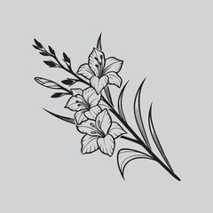 Gladiolus Lily Flower Outline Artwork