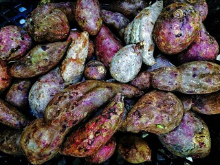 Freshly Harvested Yams Displayed in a Market Basket for Sale
