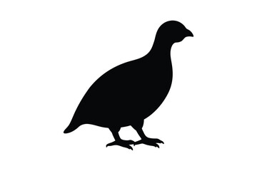 Obraz premium Elegant Partridge Bird Silhouette on White Background a Clean Graphic Representation of Wildlife silhouette