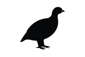 Obraz premium Elegant Black Grouse Bird Standing Profile in Silhouette Style on White Background silhouette