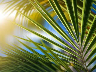 Close-up of Vibrant Palm Fronds in Sunny Light