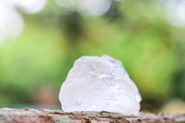 White Alum Put on Wooden Log