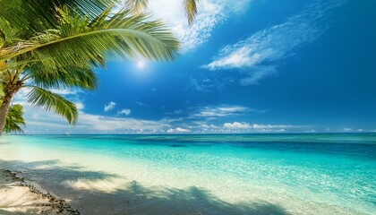 best travel landscape paradise beach tropical island background beautiful palm trees closeup sea waves sunshine blue sky clouds luxury travel summer vacation website design zen inspire wallpaper