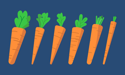 Collection of 6 Carrots Flat Design Vector