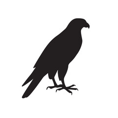 Peregrine Falcon silhouette