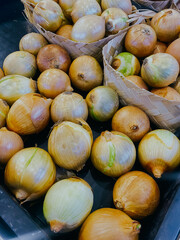 Garlic and onion. Wreaths. Rich harvest. Agriculture and farming.