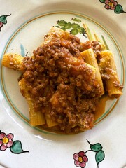 Rigatoni with Traditional Bolognese Sauce on Hand Painted Plate