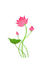 Obraz premium The Lotus